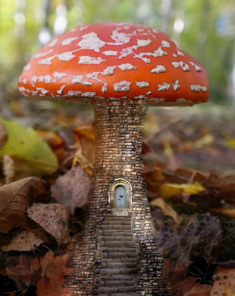 Voldoende belangstelling voor tiny houses