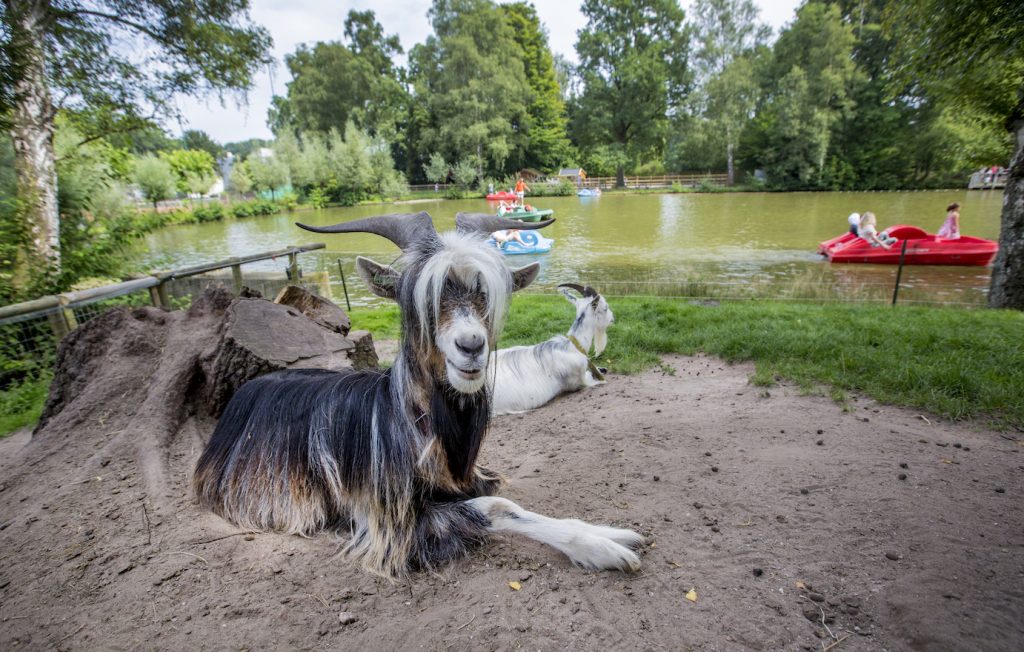 We kunnen weer naar Binky!