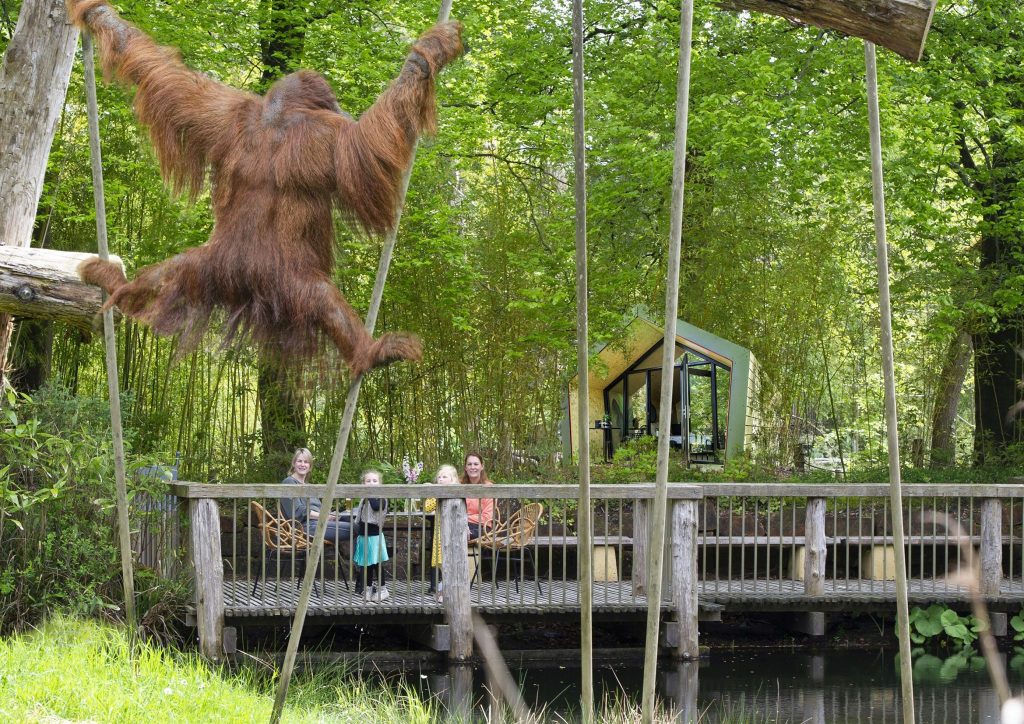 Apenheul viert 50 jaar bestaan met slapen bij de apen!