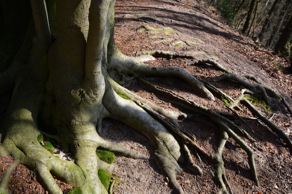 Uitwaaien op de Zandhegge in Wiesel
