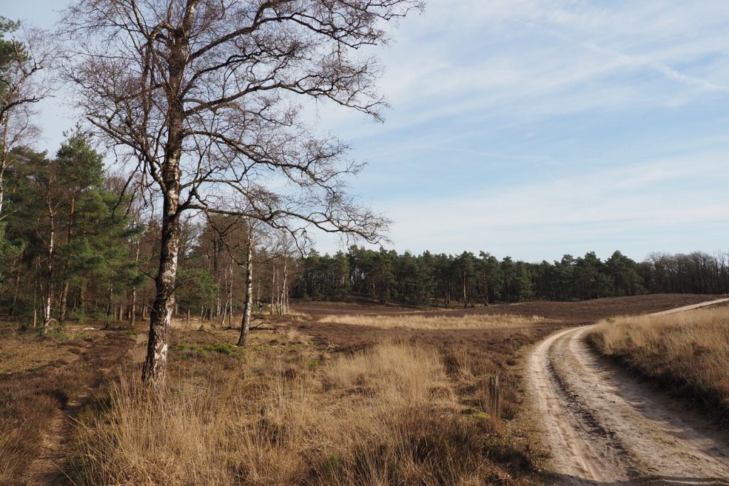 Wandelen op Steilhul, Loenermark