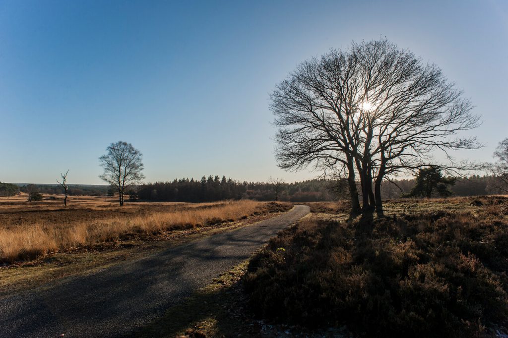 Scootmobieltocht op de Loenermark