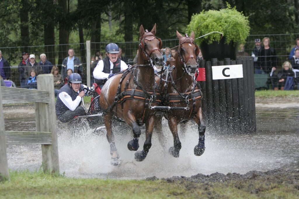 Wereldkampioenschap tweespannen 2025 in Beekbergen