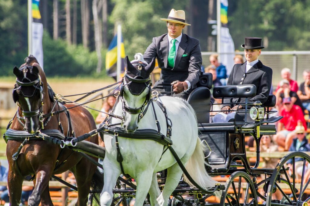 Sterk deelnemersveld in Beekbergen bij het Paardenspektakel
