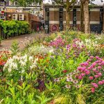 Apeldoorn zet in op groen en natuurvriendelijk bouwen