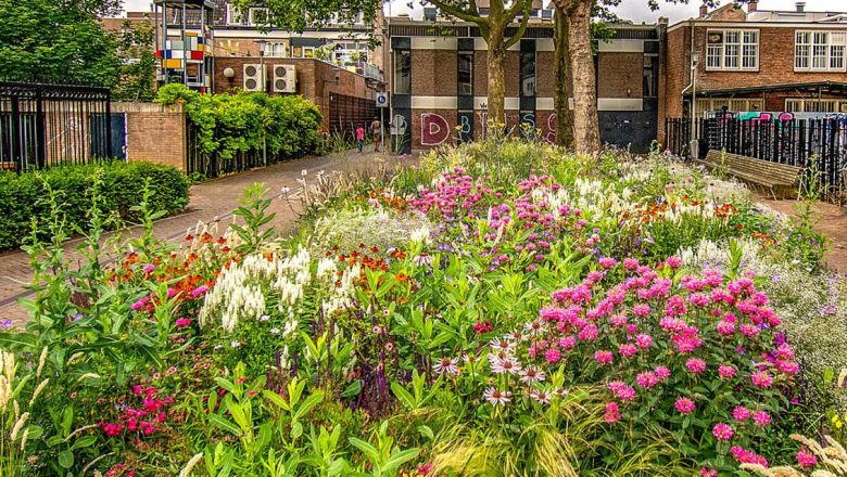 Apeldoorn zet in op groen en natuurvriendelijk bouwen