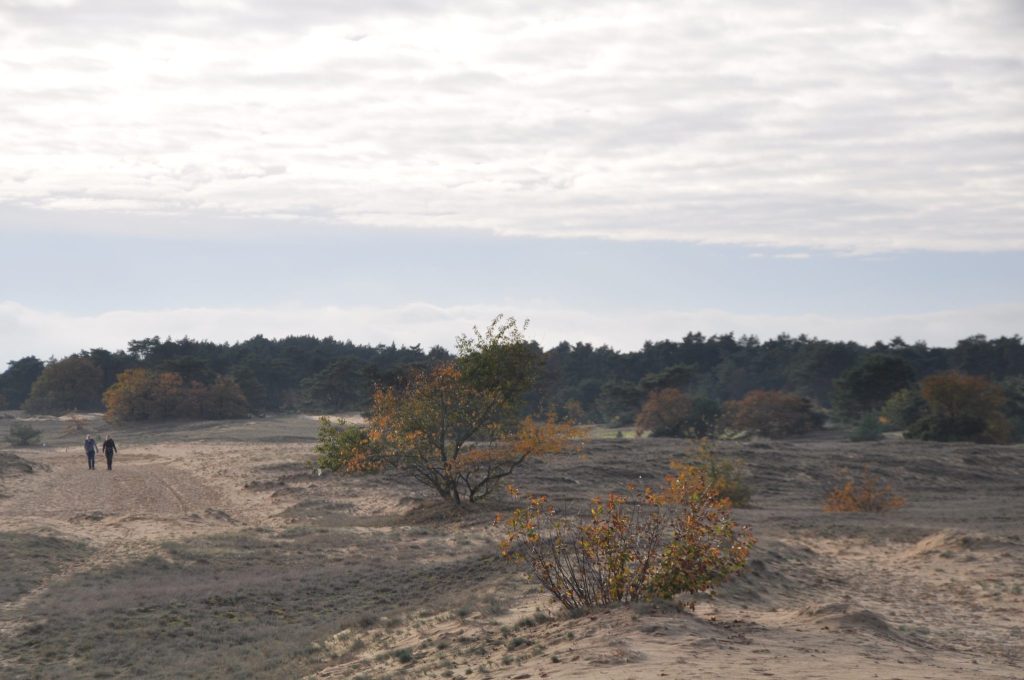 15e Kootwijker Veen- en Zandtocht  op 9 en 10 november