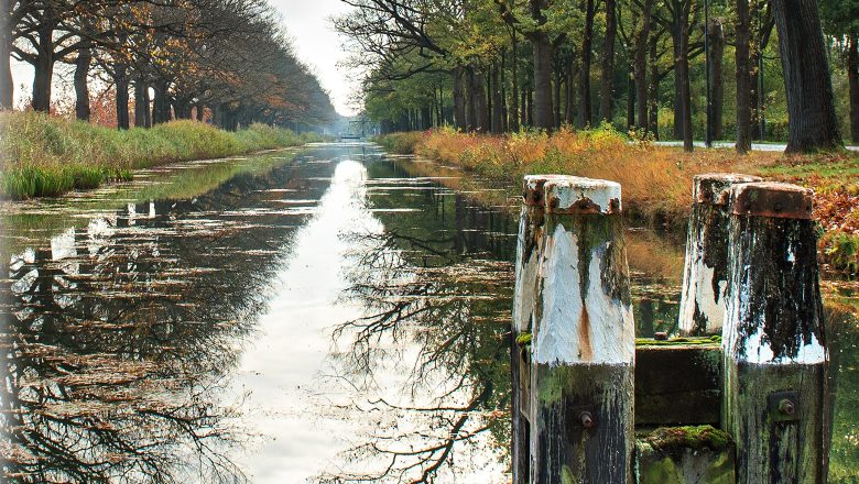 Dag van Gedenken bij Gelre Ziekenhuizen