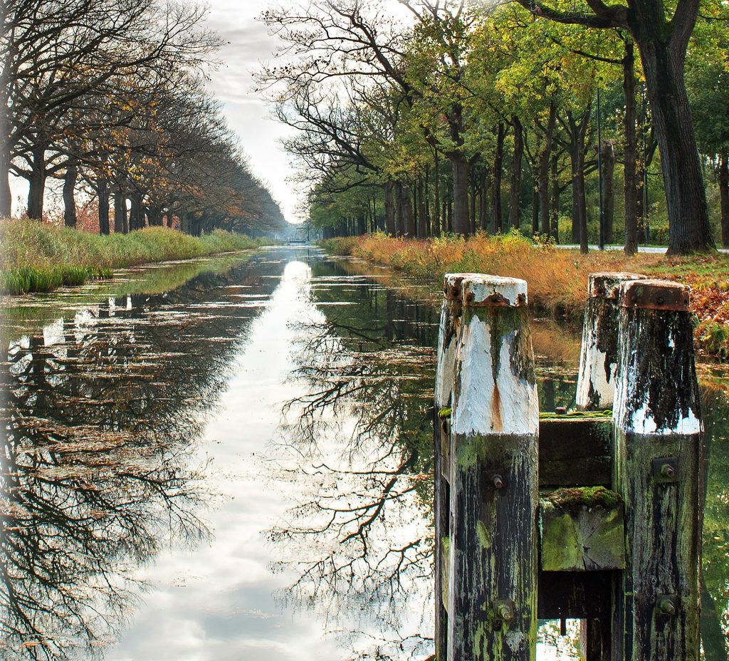 Dag van Gedenken bij Gelre Ziekenhuizen