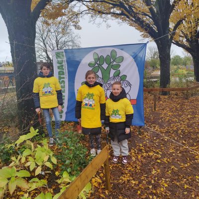 Drie nieuwe bomen geplant op schoolplein PCBO Het Kompas