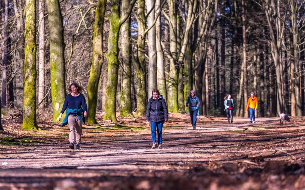 8e Midden-Veluwe Wandeltocht in maart 2026 bij Apeldoorn