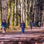8e Midden-Veluwe Wandeltocht: twee dagen wandelen door bos, heide en stuwwallen