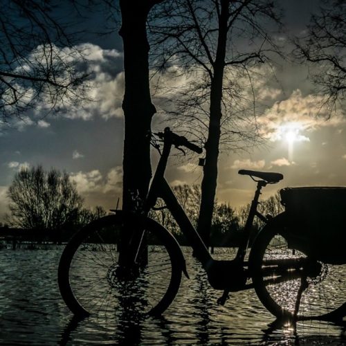 Fietstocht door Apeldoorn zet aandacht op lichthinder en verlies van duisternis