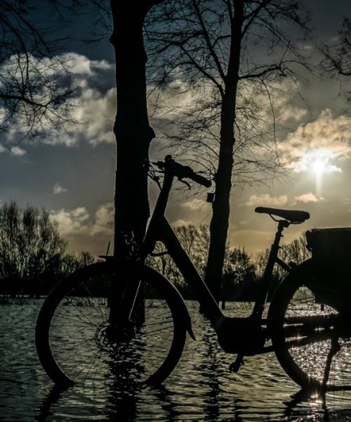 Fietstocht door Apeldoorn zet aandacht op lichthinder en verlies van duisternis