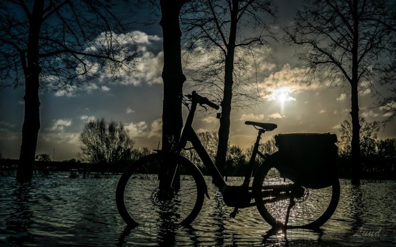 Fietstocht door Apeldoorn zet aandacht op lichthinder en verlies van duisternis