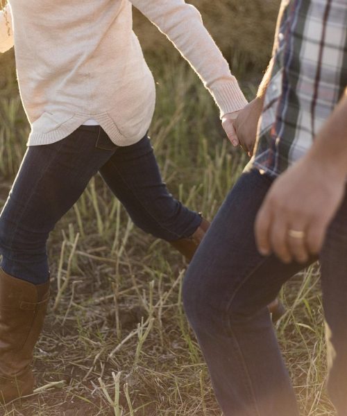 Wandel met Pride 055 door Apeldoornse natuur