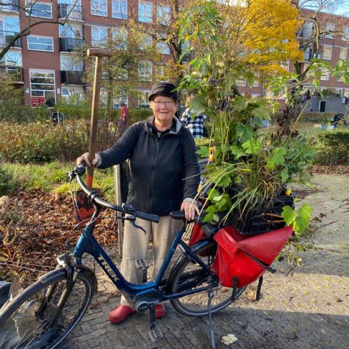 Gratis planten redden bij renovatie De Matenhof: kom struikroven op 11 maart