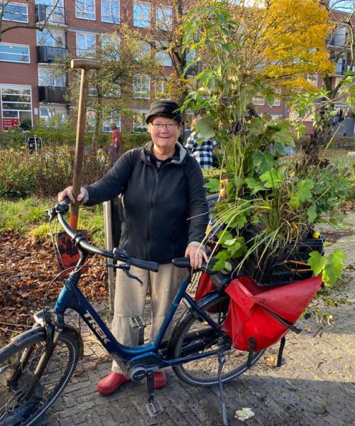 Gratis planten redden bij renovatie De Matenhof: kom struikroven op 11 maart
