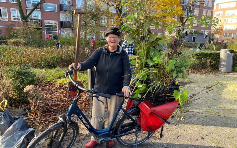 Gratis planten redden bij renovatie De Matenhof: kom struikroven op 11 maart