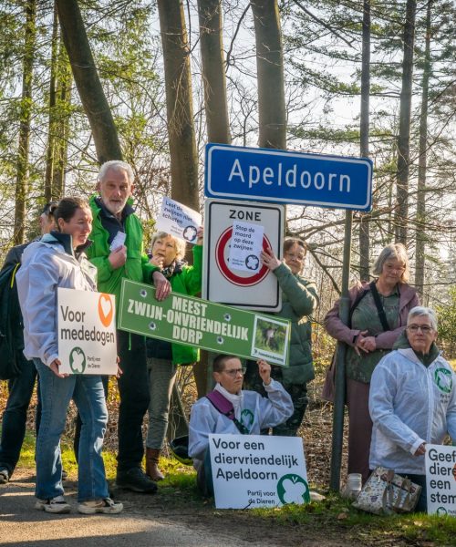 Actie tegen afschot wilde zwijnen in Park Berg en Bos