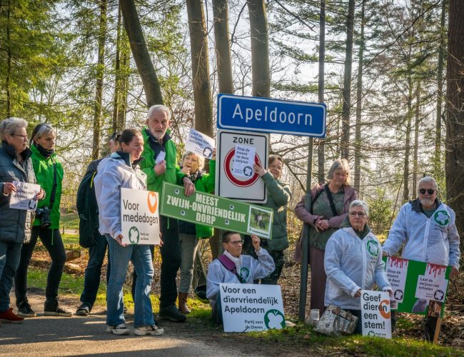 Actie tegen afschot wilde zwijnen in Park Berg en Bos