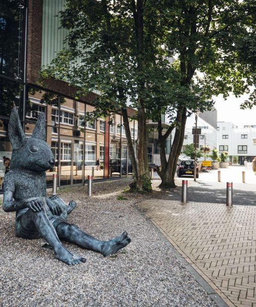 BBB Apeldoorn: betaalbare woningen en minder regels