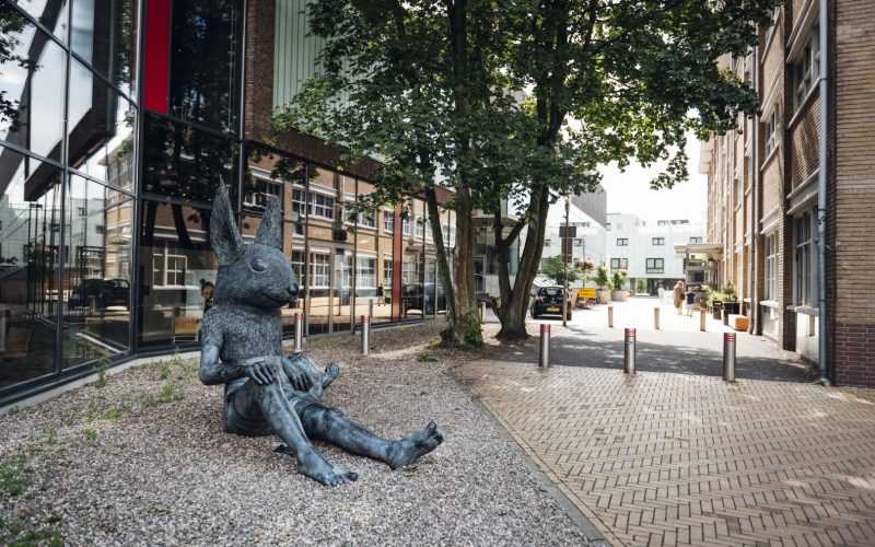 BBB Apeldoorn: betaalbare woningen en minder regels