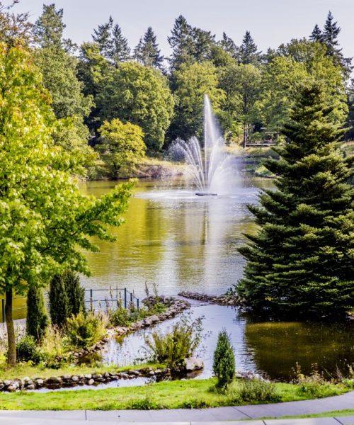 Lokaal Apeldoorn: betaalbare woningen en sterke wijken
