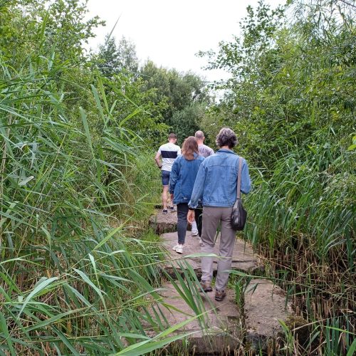 Stichting Vrienden van Park Zuidbroek stopt: taken over naar wijkraad