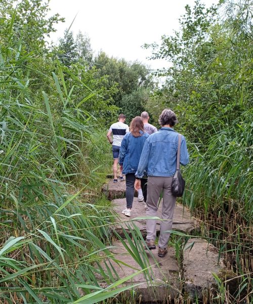 Stichting Vrienden van Park Zuidbroek stopt: taken over naar wijkraad
