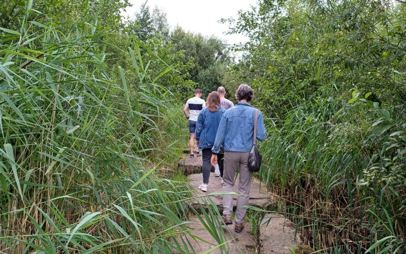 Stichting Vrienden van Park Zuidbroek stopt: taken over naar wijkraad