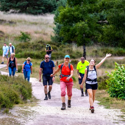 Internationale Vierdaagse Apeldoorn al ruim 70 jaar wandeltraditie op de Veluwe