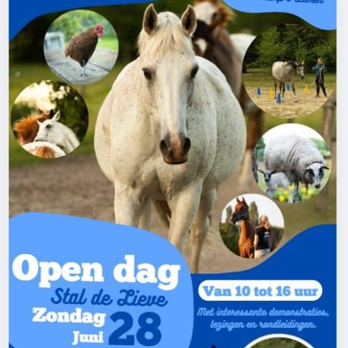 Open dag bij Stal De Lieve in Lieren: kijkje achter de schermen op natuurinclusieve boerderij