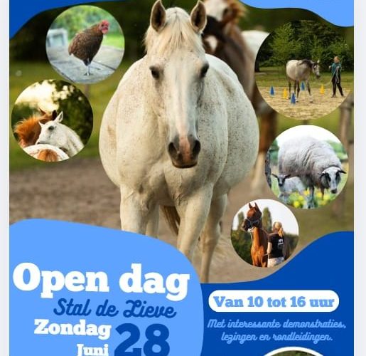 Open dag bij Stal De Lieve in Lieren: kijkje achter de schermen op natuurinclusieve boerderij