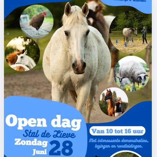 Open dag Stal De Lieve in Lieren met paarden en workshops