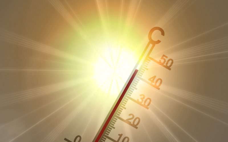 Extreme hitte zorgt voor afgelastingen in Apeldoorn: Bazaar Zuid Vol Leven en Midzomer Marathon gaan niet door