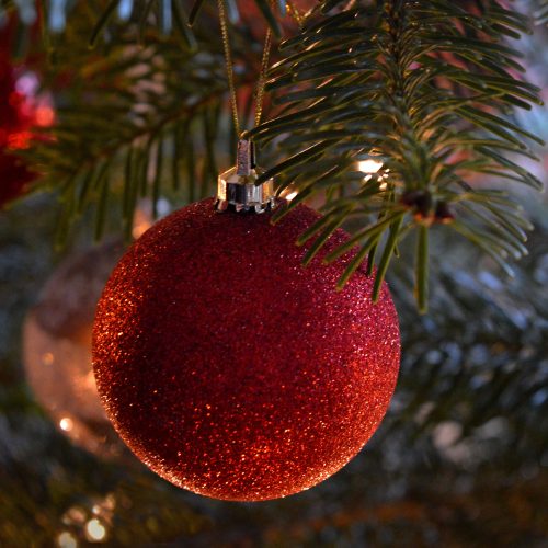 Nieuw winterevent ‘Christmas at the Park’ brengt kerstsfeer naar het Oranjepark