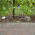 Partij voor de Dieren organiseert CleanUp langs spoor in Apeldoorn