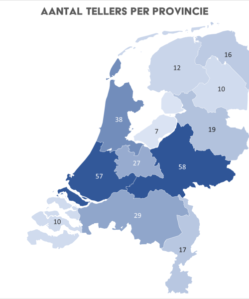 Limonadewesp nipt op 1 in nationale wespentelling 2026, Gelderland telt minder vaak