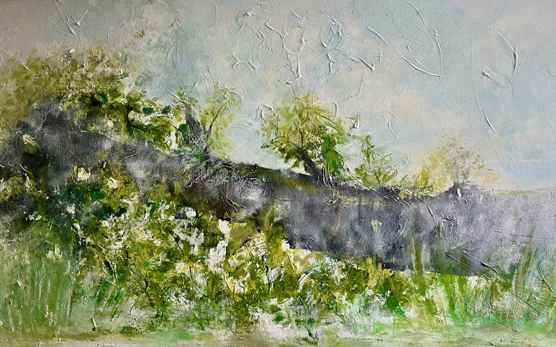 Expositie ‘Kunst in Zuid’ van CLUB ZONDER NAAM vanaf 19 oktober in Apeldoorn