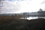 Wandelen door natuurgebied Kootwijker Veen tijdens Kootwijker Veen- en Zandtocht 2026 in Uddel