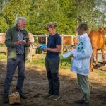 Partij voor de Dieren Apeldoorn reikt Harry Voss Award 2026 uit aan Stal De Lieve Boerderij
