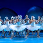 Introdans brengt moderne versie Swan Lake in Apeldoorn terug