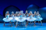 Introdans brengt moderne versie Swan Lake in Apeldoorn terug