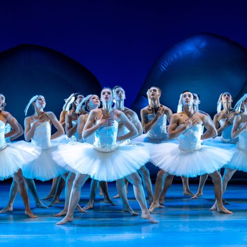 Introdans brengt moderne versie Swan Lake in Apeldoorn terug