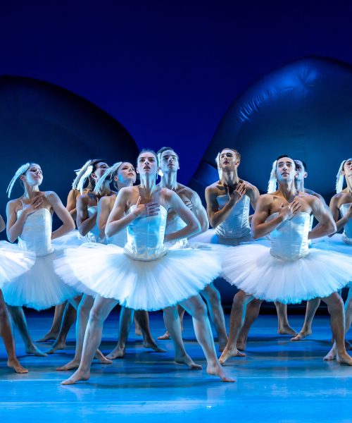 Introdans brengt moderne versie Swan Lake in Apeldoorn terug