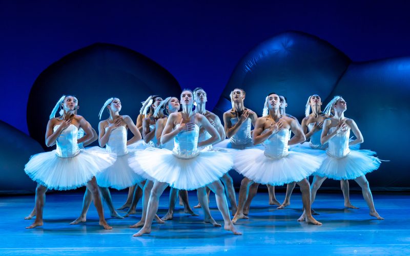 Introdans brengt moderne versie Swan Lake in Apeldoorn terug