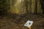 Lange knapzakwandeling door Bruggelen op 14 november