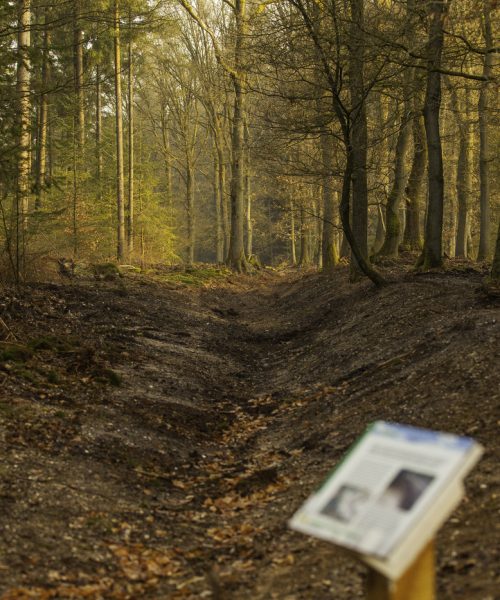 Lange knapzakwandeling door Bruggelen op 14 november