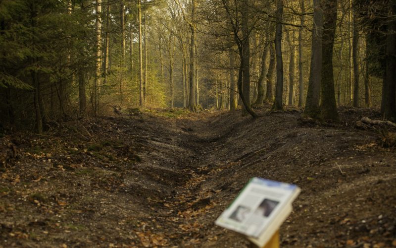 Lange knapzakwandeling door Bruggelen op 14 november